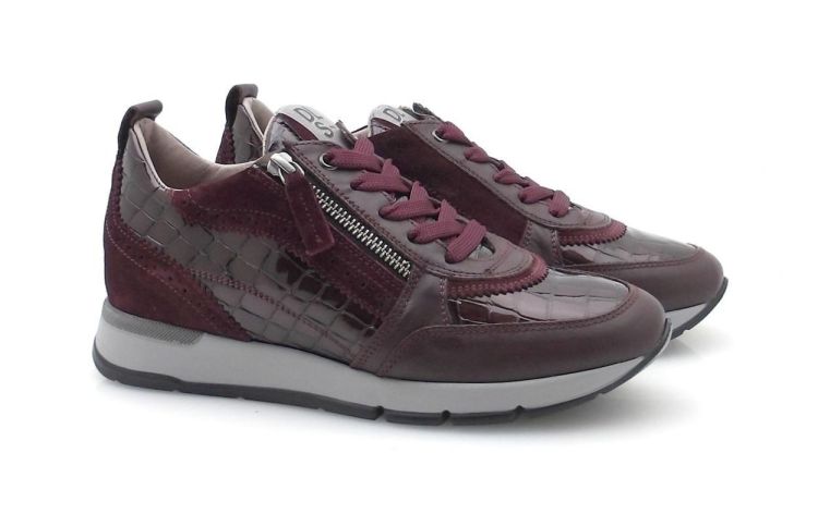 DL Sport 7116 (260621) - Reynders - Daenen