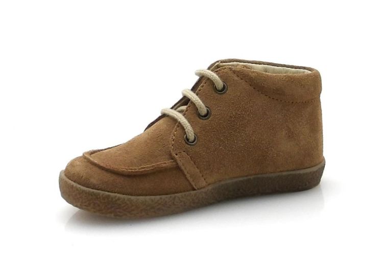 FALCOTTO Ostrit (260860) - Reynders - Daenen