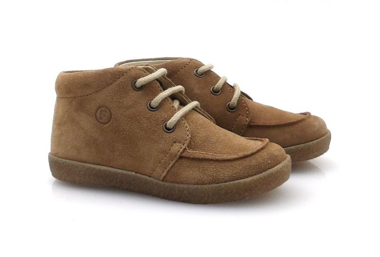 FALCOTTO Ostrit (260860) - Reynders - Daenen