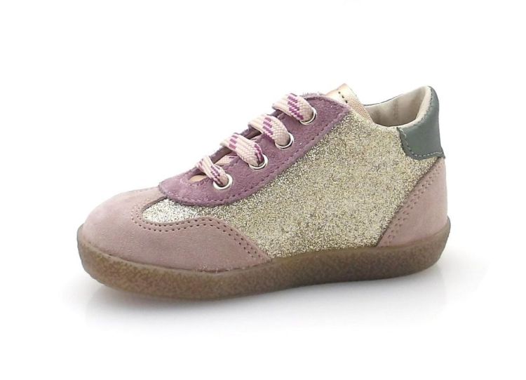 FALCOTTO Saleo (250698) - Reynders - Daenen