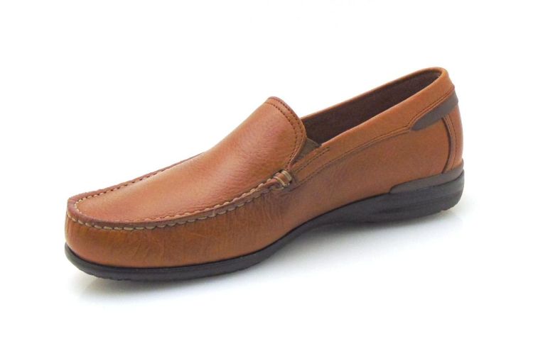 Fluchos 8682 (260029) - Reynders - Daenen