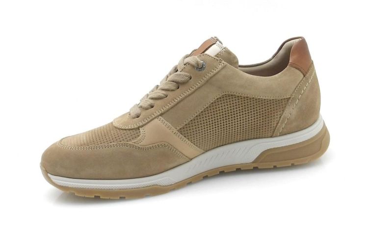 Fluchos F1750 (260109) - Reynders - Daenen