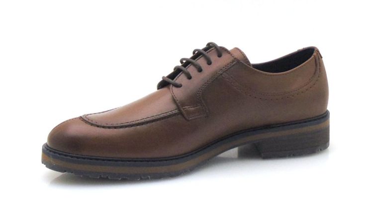 Fluchos F1874 (240543) - Reynders - Daenen