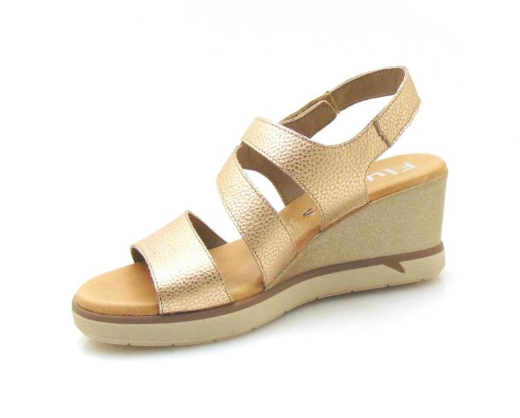 Fluchos F1973 (260032) - Reynders - Daenen