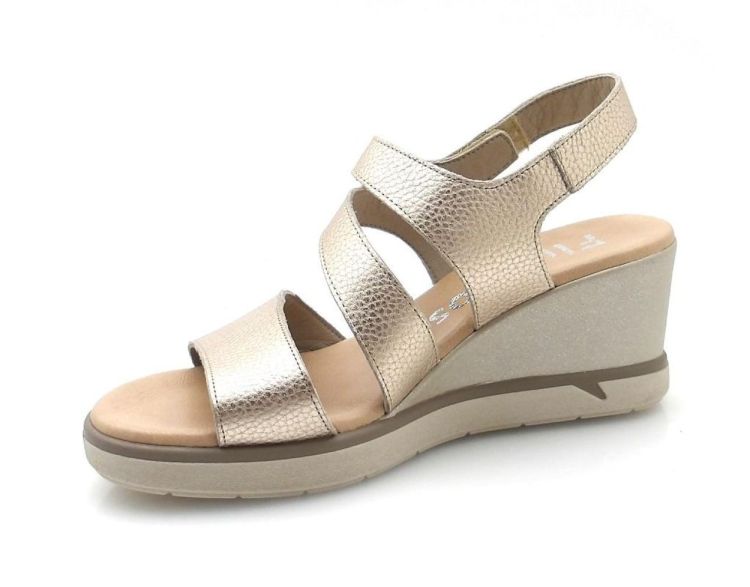 Fluchos F1973 (260032) - Reynders - Daenen