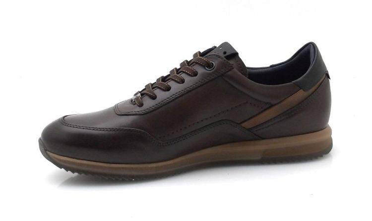 Fluchos F2264 (260661) - Reynders - Daenen