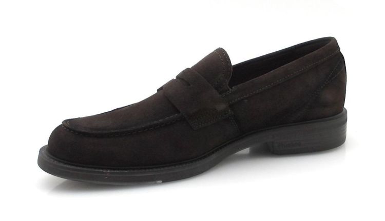 Fluchos F2496 (260644) - Reynders - Daenen