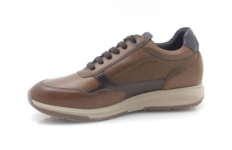 Fluchos F2530 (260573) - Reynders - Daenen