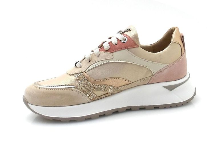 Footnotes 15.005-2524 H (260123) - Reynders - Daenen