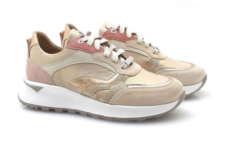 Footnotes 15.005-2524 H (260123) - Reynders - Daenen