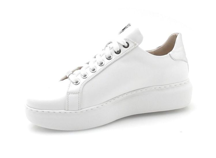 Footnotes 22.005-1020 K (260326) - Reynders - Daenen