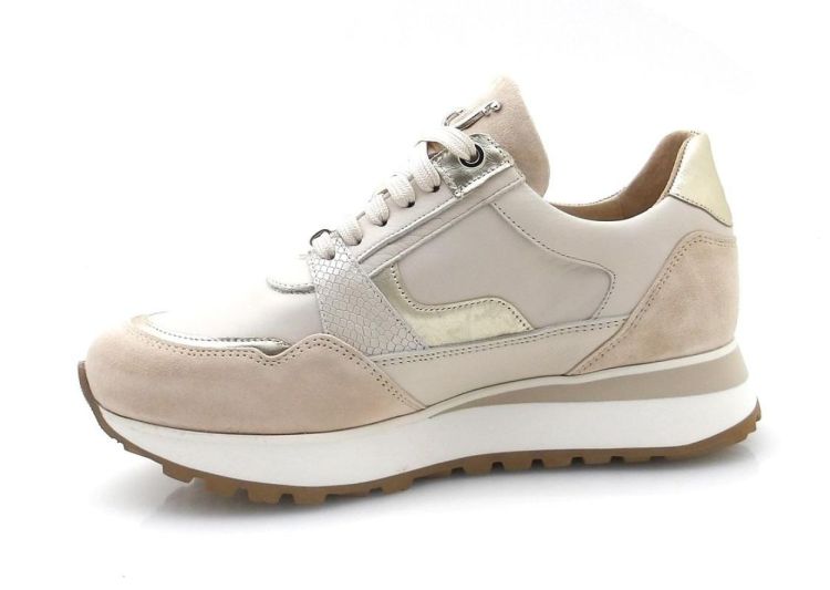 Footnotes 32.007-1027 K (250533) - Reynders - Daenen