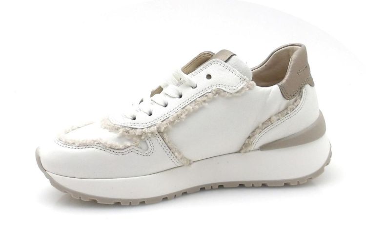 gabor 73.496.20 (250563) - Reynders - Daenen