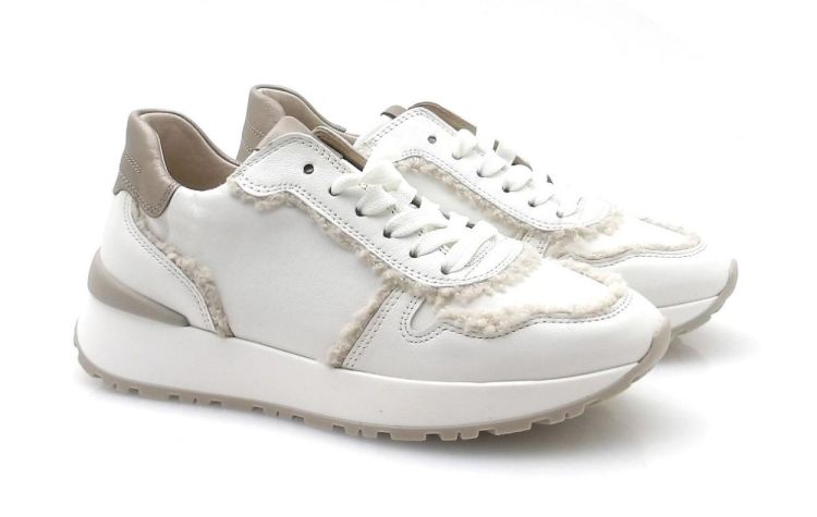 gabor 73.496.20 (250563) - Reynders - Daenen