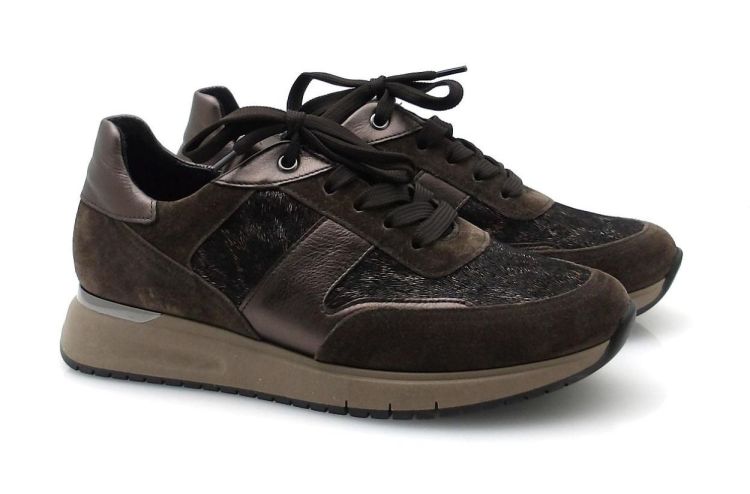 gabor 76.445.63 (250831) - Reynders - Daenen