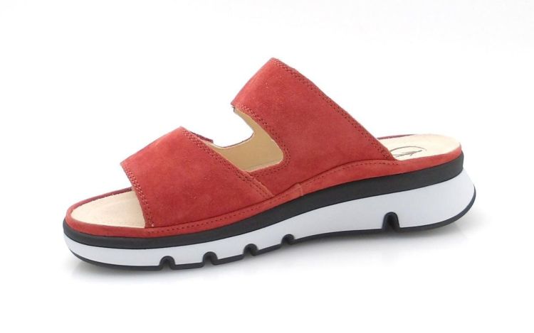 Ganter 200652 G chroomvrij (260215) - Reynders - Daenen