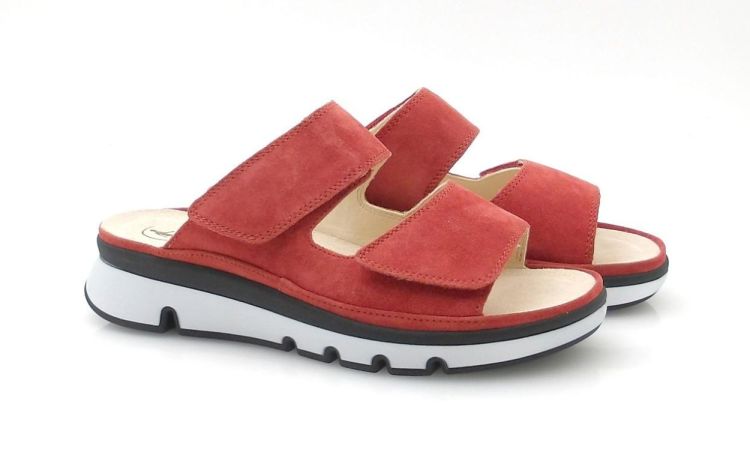 Ganter 200652 G chroomvrij (260215) - Reynders - Daenen