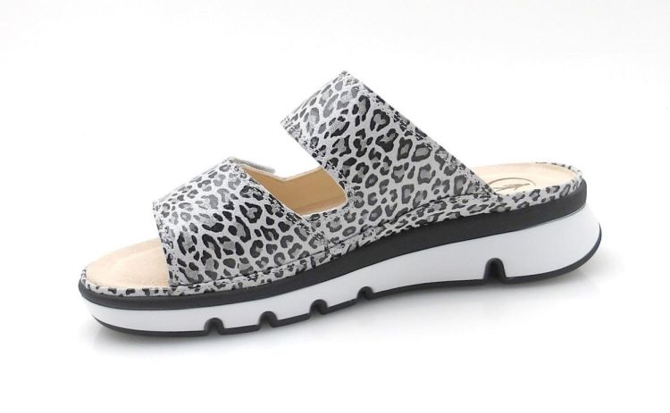 Ganter 200659 G chroomvrij (260267) - Reynders - Daenen