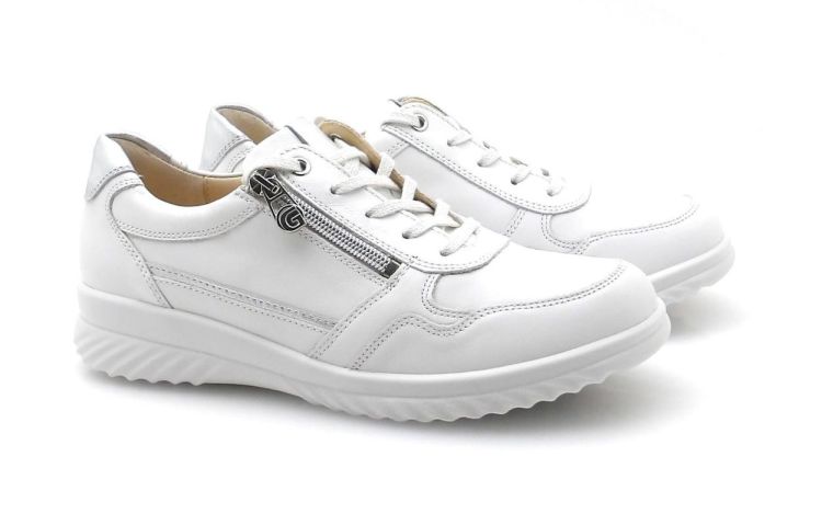 Ganter 204527 H chroomvrij (260055) - Reynders - Daenen