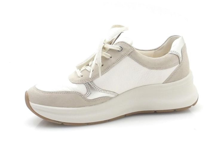 Ganter 205417 K chroomvrij (260302) - Reynders - Daenen