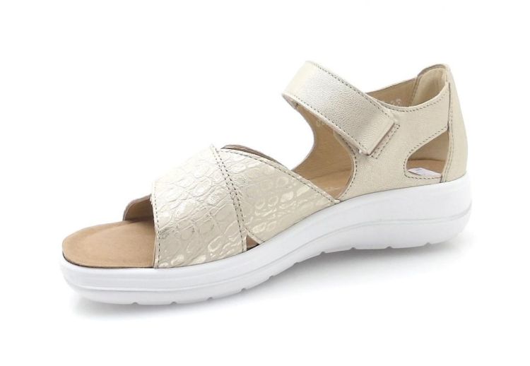 hartjes 132.2101/41 chroomvrij (260238) - Reynders - Daenen