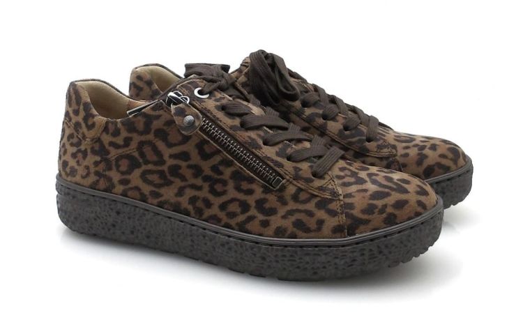 hartjes 162.1401/40 chroomvrij (250575) - Reynders - Daenen