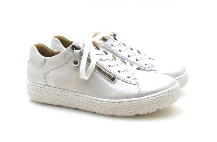 hartjes 162.1402/40 chroomvrij (250044-254-278-292-403) - Reynders - Daenen