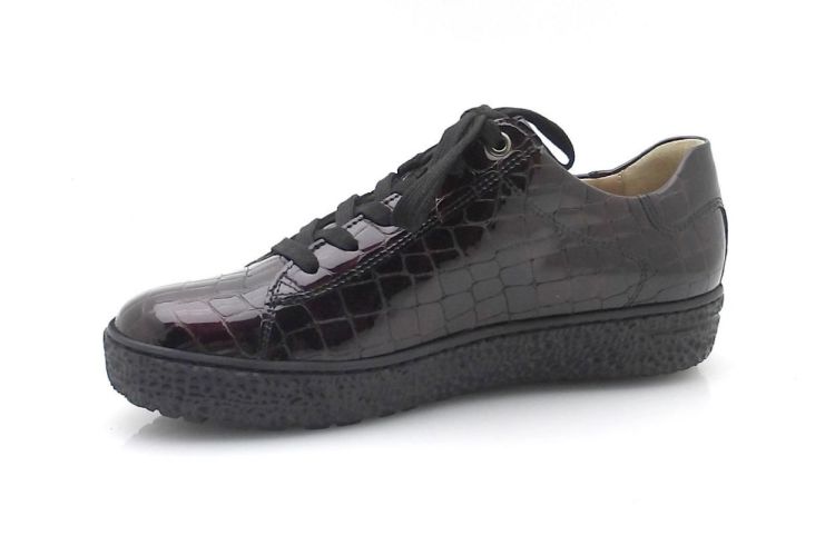 hartjes 162.1402/69 chroomvrij (260571) - Reynders - Daenen