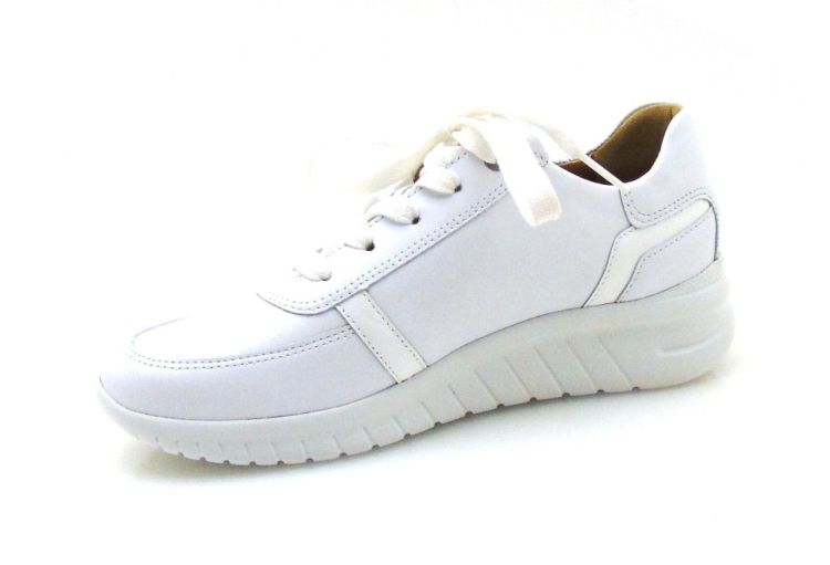 hartjes 162.2401/16 chroomvrij (260197) - Reynders - Daenen