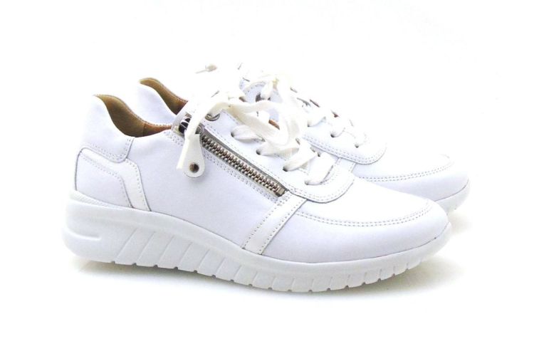 hartjes 162.2401/16 chroomvrij (260197) - Reynders - Daenen