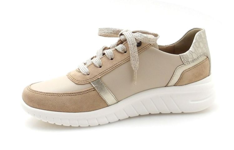 hartjes 162.2401/31 chroomvrij (260196) - Reynders - Daenen