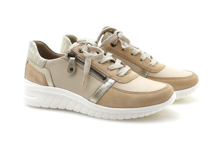 hartjes 162.2401/31 chroomvrij (260196) - Reynders - Daenen