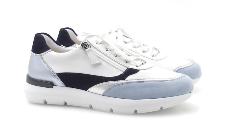 Hassia 301350 H (260185) - Reynders - Daenen