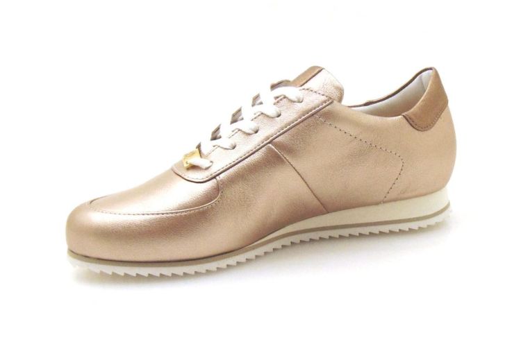 Hassia 301671 G (240255) - Reynders - Daenen