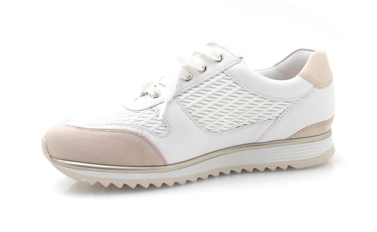 Hassia 302038 H (260185) - Reynders - Daenen