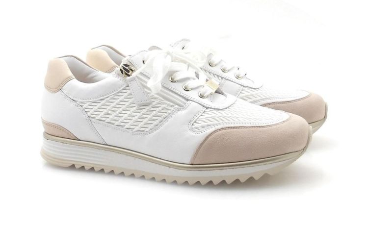 Hassia 302038 H (260185) - Reynders - Daenen