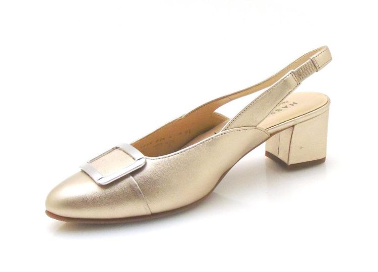 Hassia 304186 (260266-301) - Reynders - Daenen