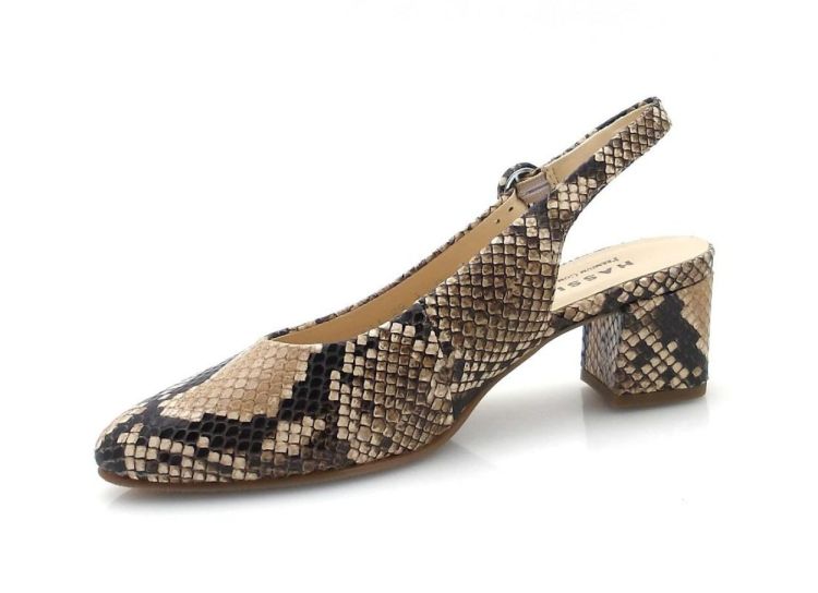 Hassia 304707 (260016) - Reynders - Daenen