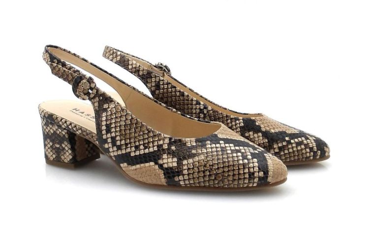 Hassia 304707 (260016) - Reynders - Daenen