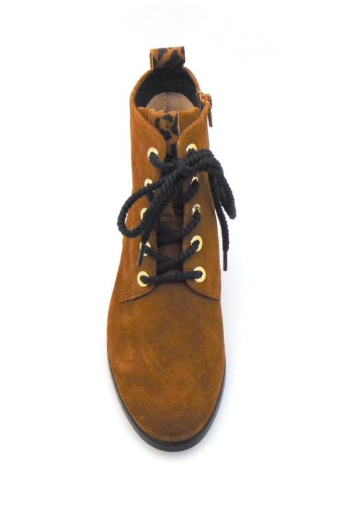 Hassia 306242 (90672-769) - Reynders - Daenen