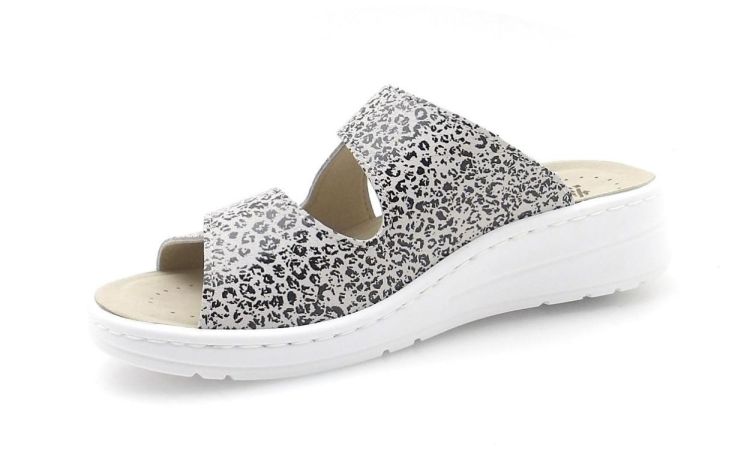 Hickersberger 2521 8096 (260174) - Reynders - Daenen