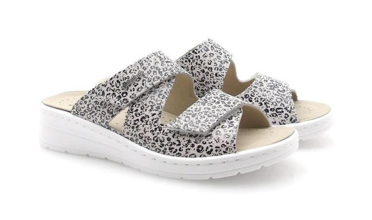 Hickersberger 2521 8096 (260174) - Reynders - Daenen