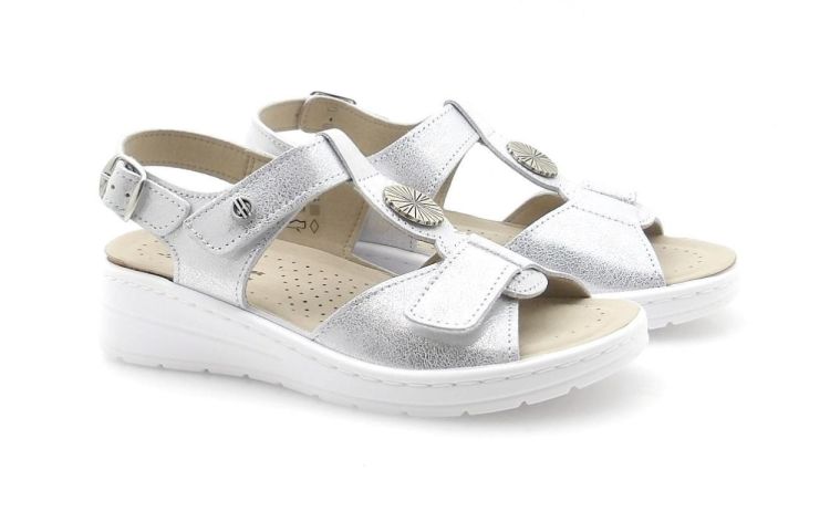 Hickersberger 2548 2004 (260065) - Reynders - Daenen