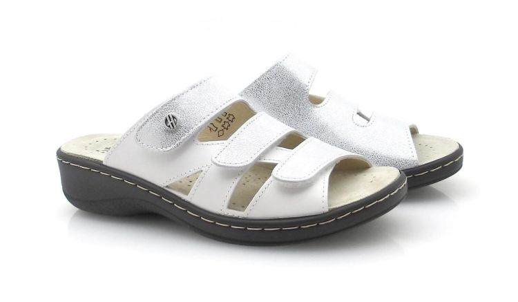 Hickersberger 5111 8104 (260173) - Reynders - Daenen