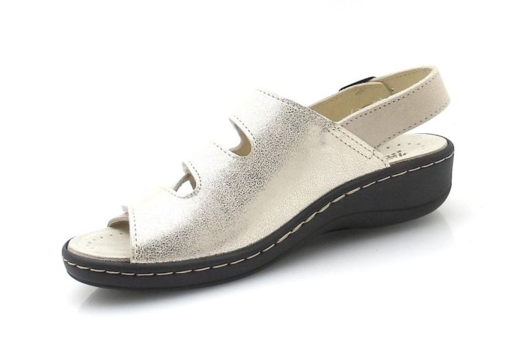 Hickersberger 5112 G (260173) - Reynders - Daenen