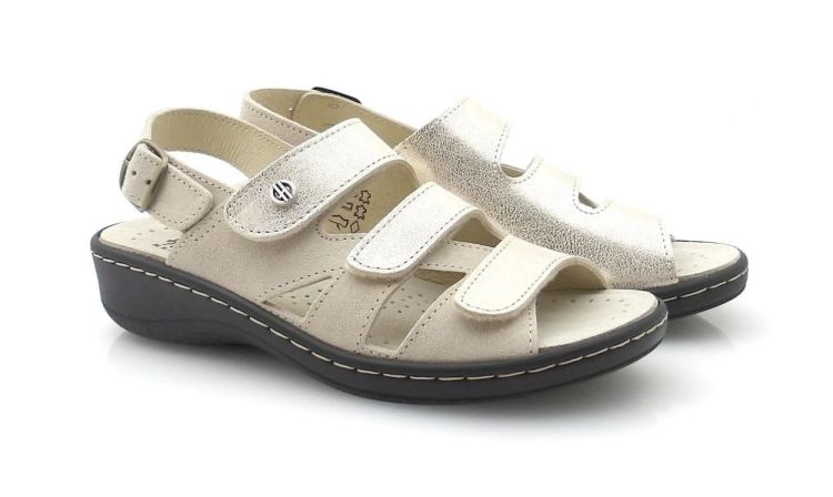 Hickersberger 5112 G (260173) - Reynders - Daenen