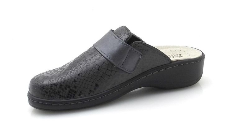 Hickersberger 5227 (250498) - Reynders - Daenen