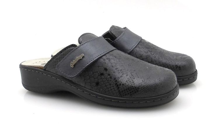 Hickersberger 5227 (250498) - Reynders - Daenen