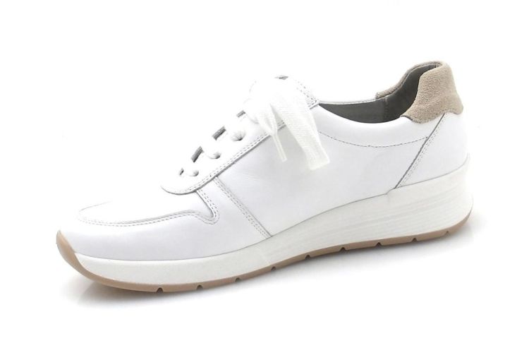 Hickersberger 9409 8100 H (260064) - Reynders - Daenen