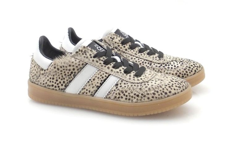 Hip H1500 (260157) - Reynders - Daenen